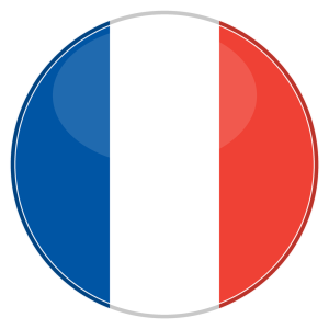 fr france round flag icon