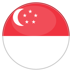 sg singapore round flag icon